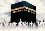 الإسلام وبناء تربية الإنسان