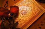 دعوة اللاعنف في القرآن